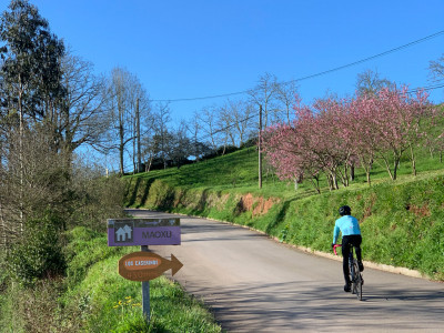 Los Caserinos Villaviciosa 02