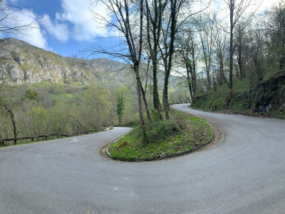 LAGOS DE COVADONGA