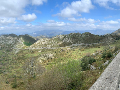 LAGOS DE COVADONGA HUESERA